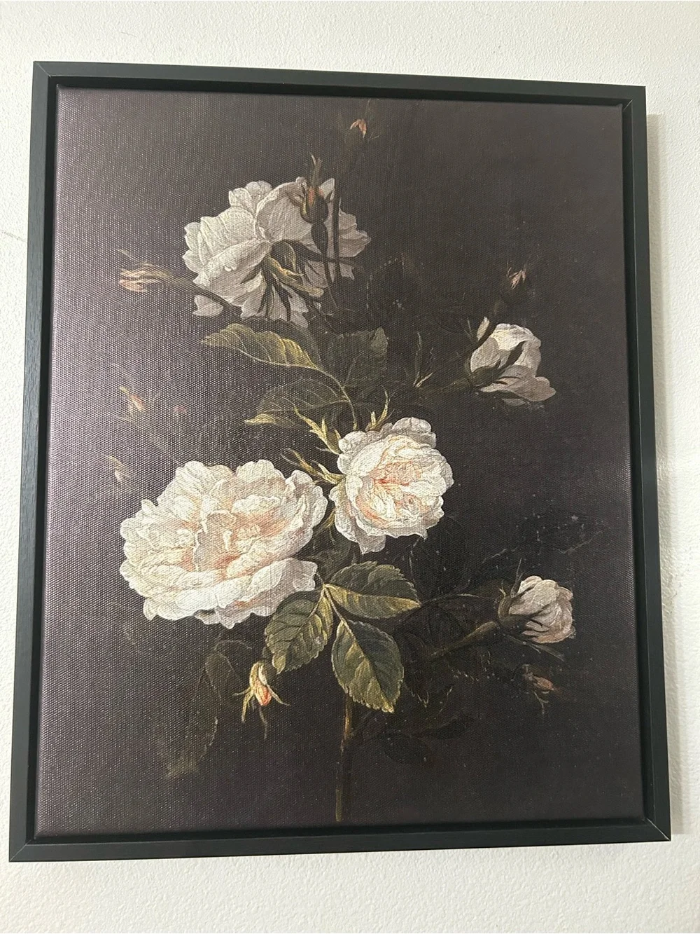 Botanical Framed Canvas Wall Art Print Set of 2